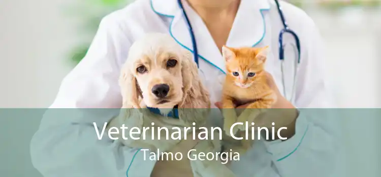 Veterinarian Clinic Talmo Georgia