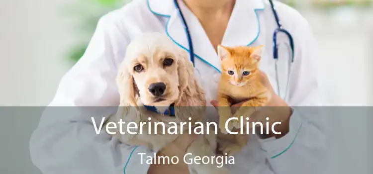 Veterinarian Clinic Talmo Georgia