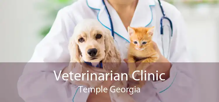 Veterinarian Clinic Temple Georgia
