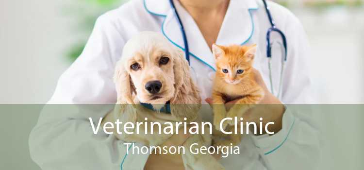 Veterinarian Clinic Thomson Georgia
