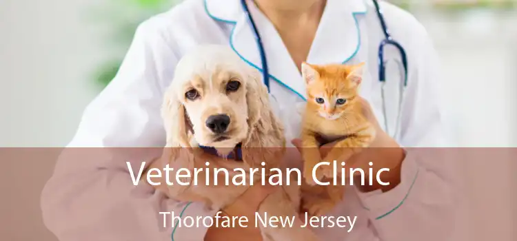Veterinarian Clinic Thorofare New Jersey