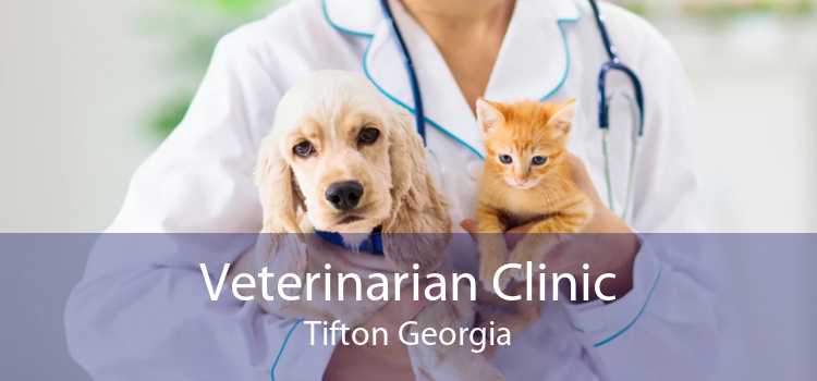 Veterinarian Clinic Tifton Georgia