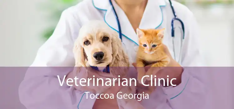 Veterinarian Clinic Toccoa Georgia