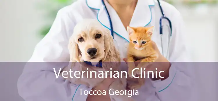 Veterinarian Clinic Toccoa Georgia