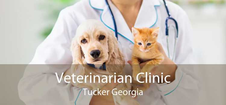 Veterinarian Clinic Tucker Georgia