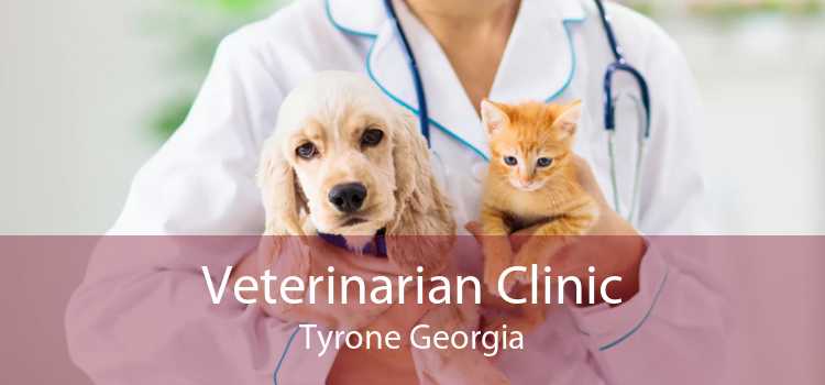 Veterinarian Clinic Tyrone Georgia