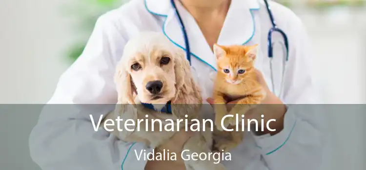 Veterinarian Clinic Vidalia Georgia