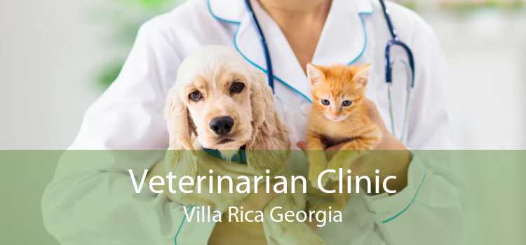 Veterinarian Clinic Villa Rica Georgia