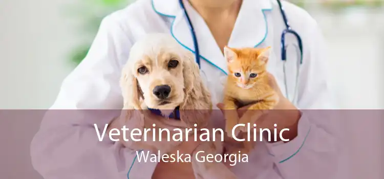 Veterinarian Clinic Waleska Georgia