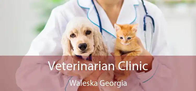 Veterinarian Clinic Waleska Georgia
