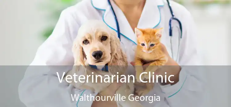 Veterinarian Clinic Walthourville Georgia