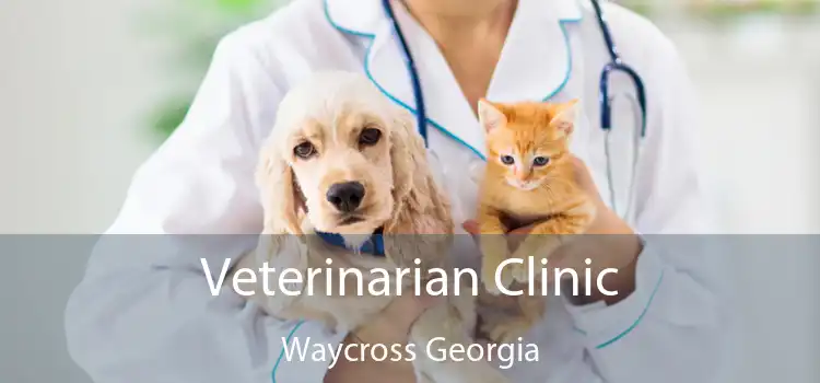 Veterinarian Clinic Waycross Georgia