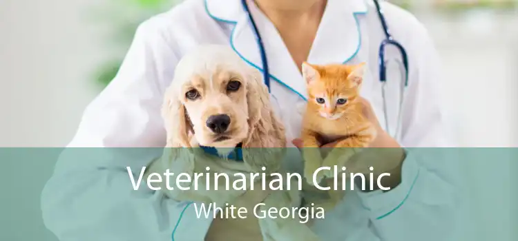 Veterinarian Clinic White Georgia