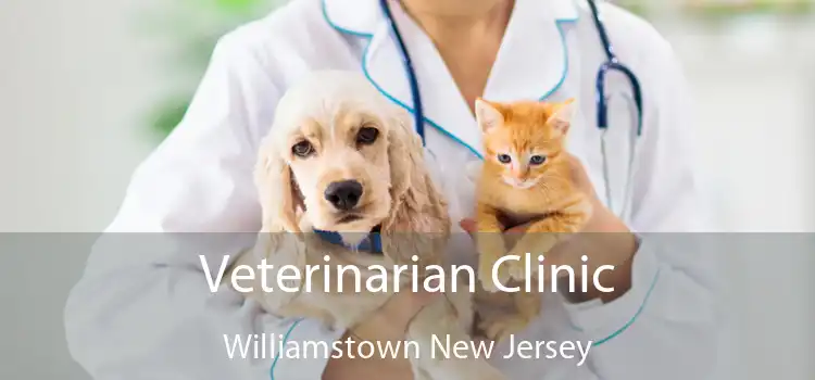 Veterinarian Clinic Williamstown New Jersey