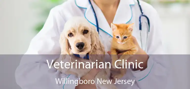 Veterinarian Clinic Willingboro New Jersey